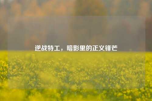 逆战特工,暗影里的正义锋芒