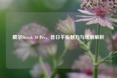 戴尔Streak 10 Pro,昔日平板魅力与线刷解析