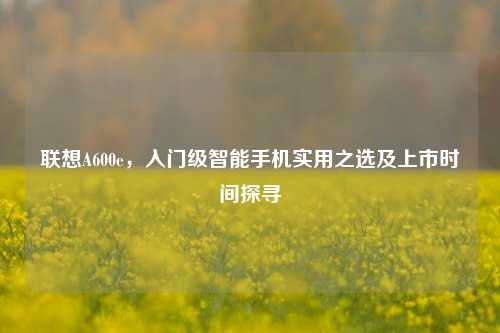 联想A600e,入门级智能手机实用之选及上市时间探寻