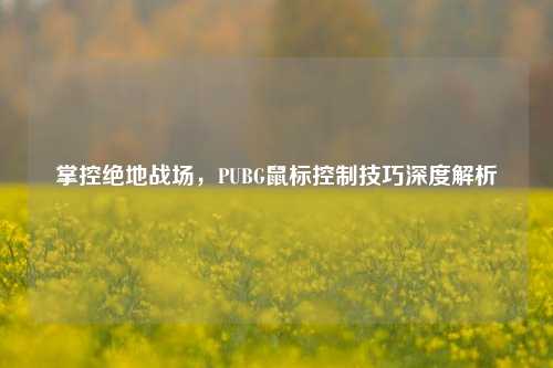 掌控绝地战场,PUBG鼠标控制技巧深度解析