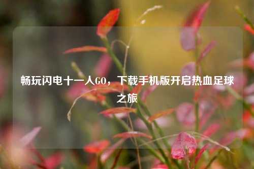 畅玩闪电十一人GO,下载手机版开启热血足球之旅