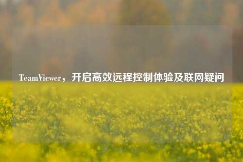TeamViewer,开启高效远程控制体验及联网疑问