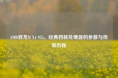 AMD羿龙II X4 955，经典四核处理器的参数与传奇历程