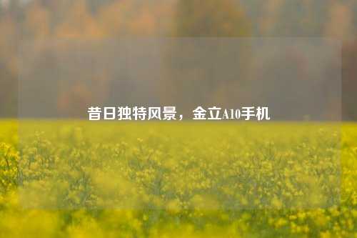 昔日独特风景,金立A10手机