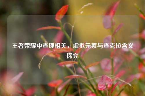 王者荣耀中查理相关,虚拟元素与查克拉含义探究