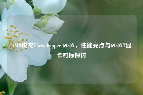 AMD锐龙Threadripper 6950X，性能亮点与6950XT显卡对标探讨
