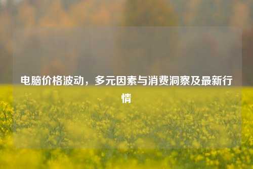 电脑价格波动,多元因素与消费洞察及最新行情