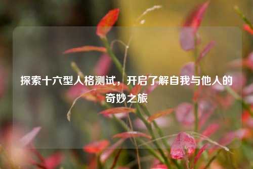 探索十六型人格测试,开启了解自我与他人的奇妙之旅