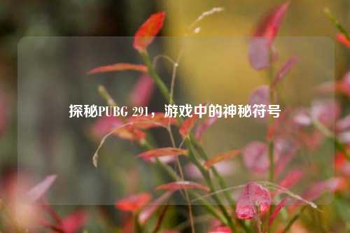 探秘PUBG 291，游戏中的神秘符号