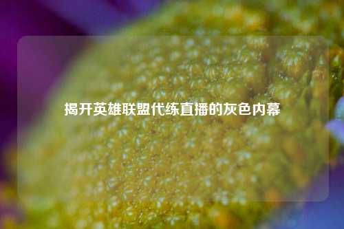 揭开英雄联盟代练直播的灰色内幕
