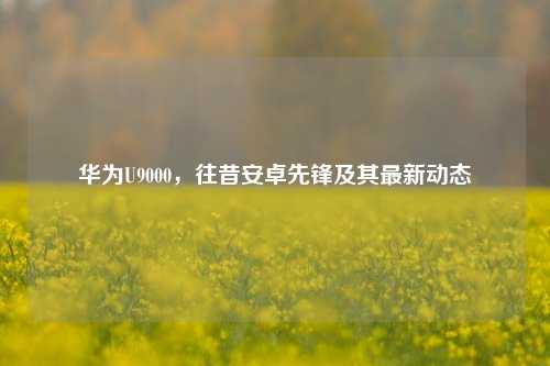 华为U9000,往昔安卓先锋及其最新动态