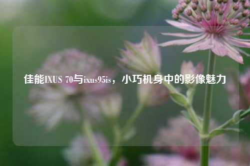佳能IXUS 70与ixus95is,小巧机身中的影像魅力