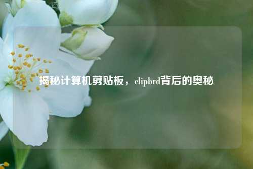 揭秘计算机剪贴板,clipbrd背后的奥秘