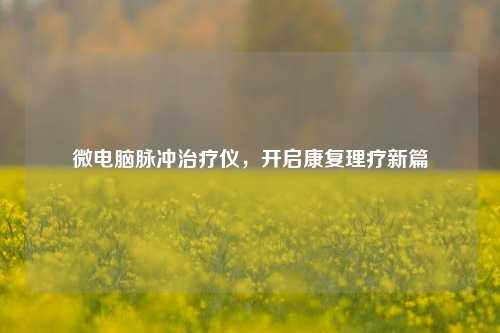微电脑脉冲治疗仪,开启康复理疗新篇