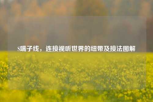 S端子线,连接视听世界的纽带及接法图解