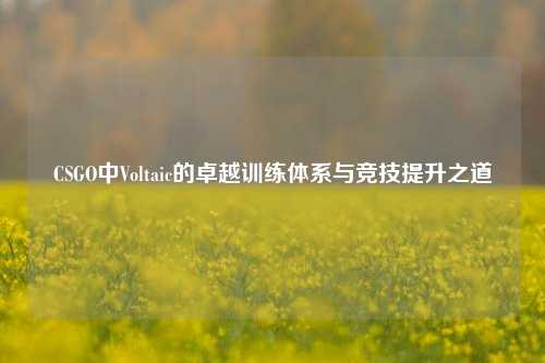 CSGO中Voltaic的卓越训练体系与竞技提升之道