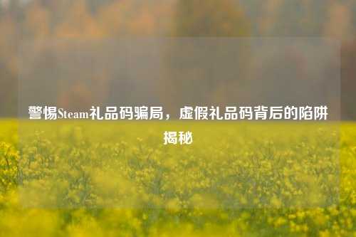 警惕Steam礼品码骗局,虚假礼品码背后的陷阱揭秘