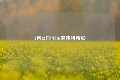 1月12日PUBG的独特精彩