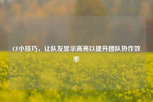 CF小技巧，让队友显示高亮以提升团队协作效率
