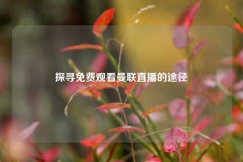 探寻免费观看曼联直播的途径