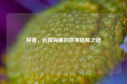 探春,远嫁海疆的飘零结局之谜