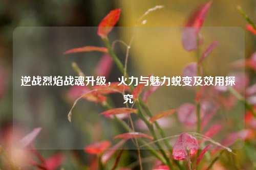 逆战烈焰战魂升级,火力与魅力蜕变及效用探究