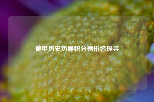 德甲历史历届积分榜排名探寻