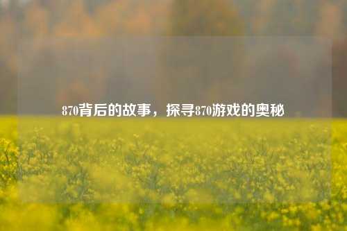 870背后的故事,探寻870游戏的奥秘