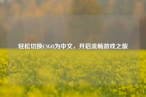 轻松切换CSGO为中文，开启流畅游戏之旅