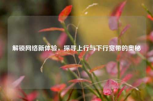 解锁网络新体验,探寻上行与下行宽带的奥秘