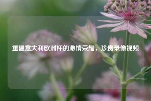 重温意大利欧洲杯的激情荣耀,珍贵录像视频