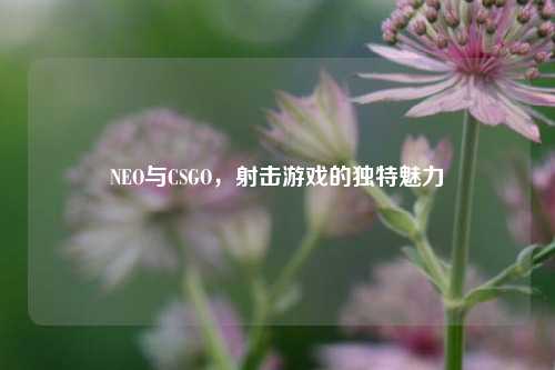 NEO与CSGO,射击游戏的独特魅力