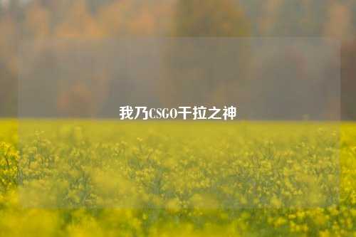我乃CSGO干拉之神