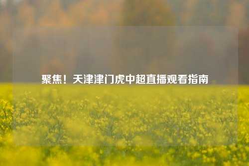 聚焦!天津津门虎中超直播观看指南