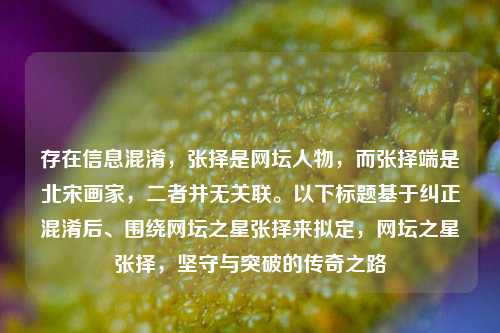 存在信息混淆,张择是网坛人物,而张择端是北宋画家,二者并无关联。以下标题基于纠正混淆后、围绕网坛之星张择来拟定,网坛之星张择,坚守与突破的传奇之路