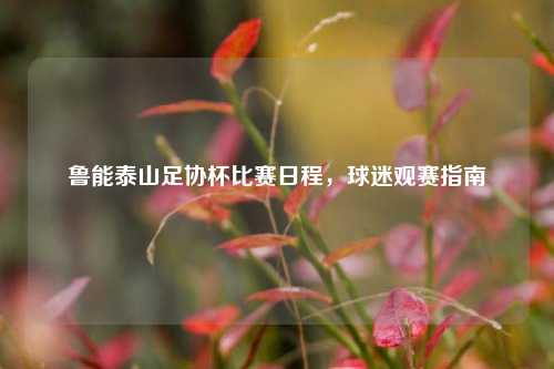 鲁能泰山足协杯比赛日程,球迷观赛指南