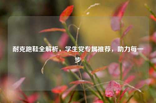 耐克跑鞋全解析,学生党专属推荐,助力每一步