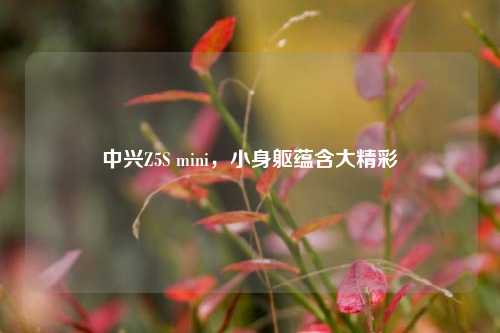 中兴Z5S mini,小身躯蕴含大精彩