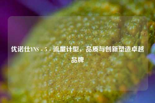 优诺仕YNS - 5 - 流量计型,品质与创新塑造卓越品牌