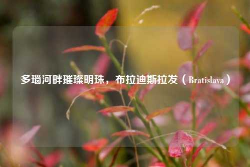 多瑙河畔璀璨明珠,布拉迪斯拉发(Bratislava)