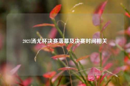 2021汤尤杯决赛落幕及决赛时间相关