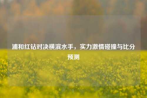浦和红钻对决横滨水手,实力激情碰撞与比分预测