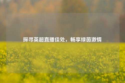 探寻英超直播佳处,畅享绿茵激情