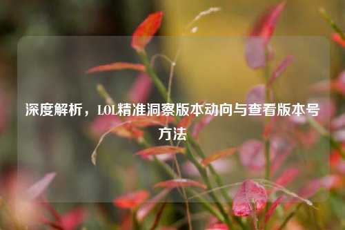 深度解析,LOL精准洞察版本动向与查看版本号方法