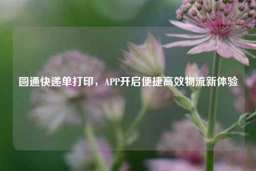 圆通快递单打印,APP开启便捷高效物流新体验