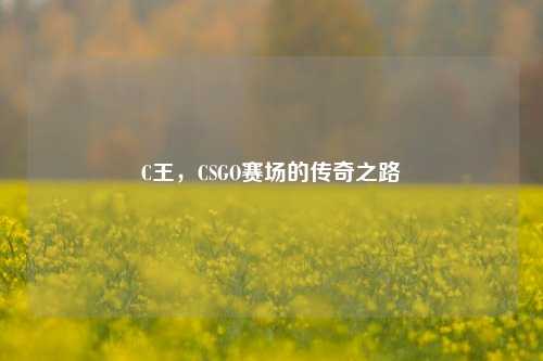 C王，CSGO赛场的传奇之路