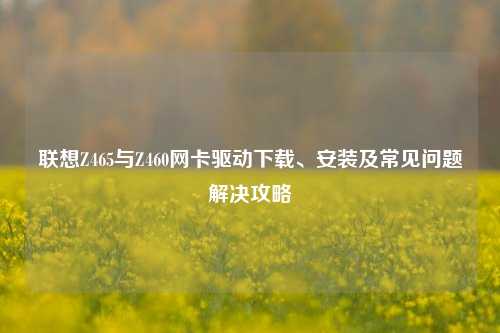 联想Z465与Z460网卡驱动下载、安装及常见问题解决攻略