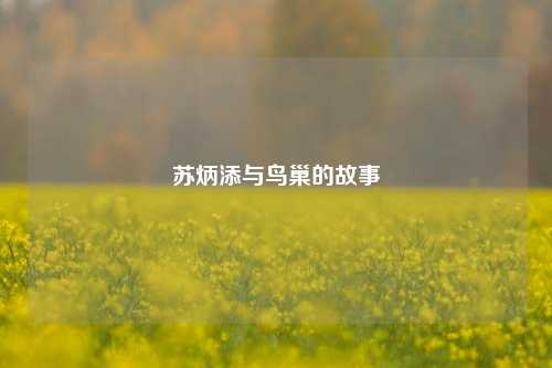 苏炳添与鸟巢的故事