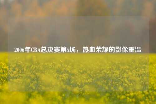 2006年CBA总决赛第5场,热血荣耀的影像重温