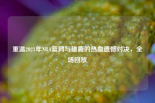 重温2021年NBA篮网与雄鹿的热血遗憾对决，全场回放
